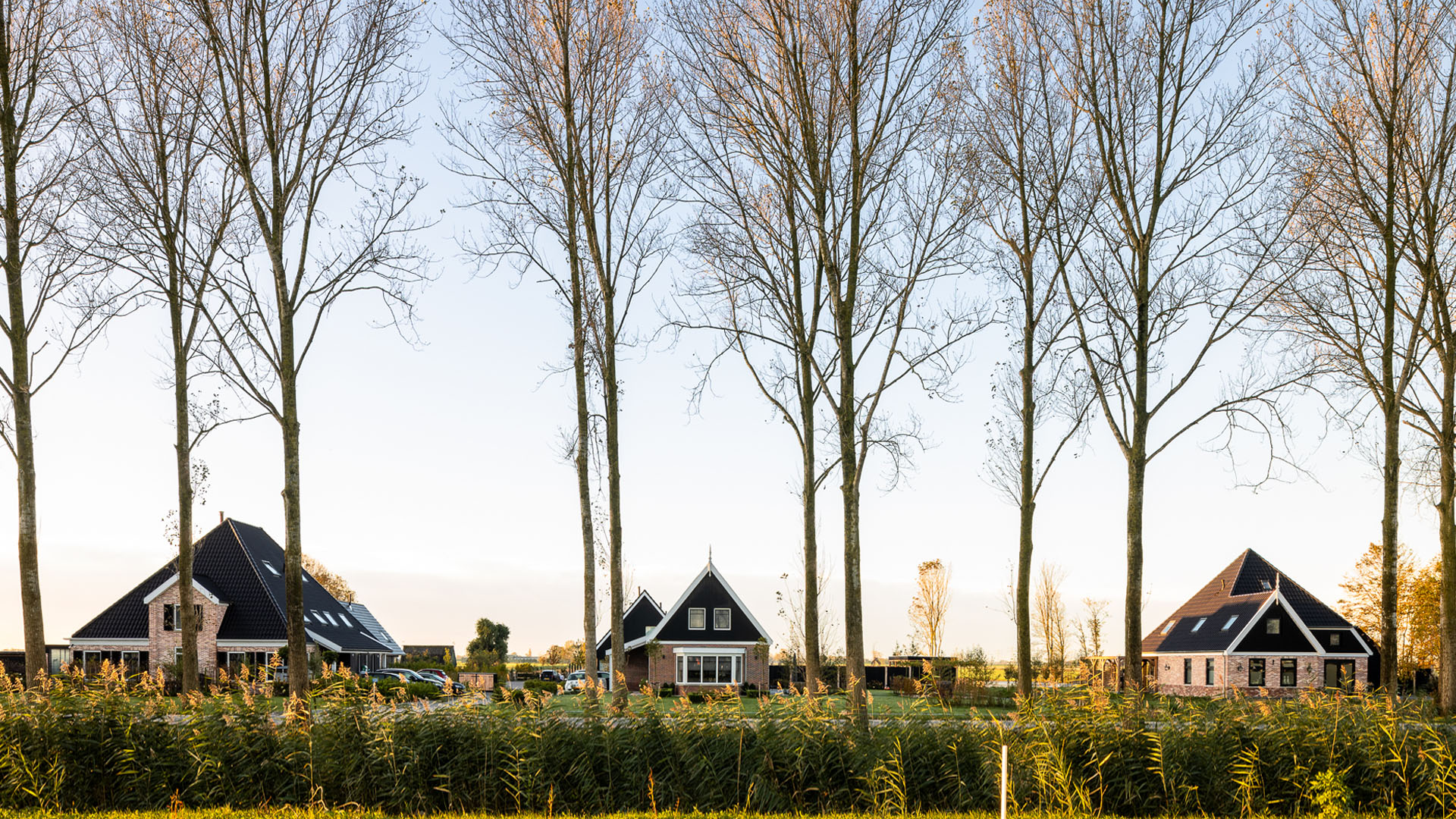 Sd a Architecten 1670 eigentijds woonerf   001   kopie