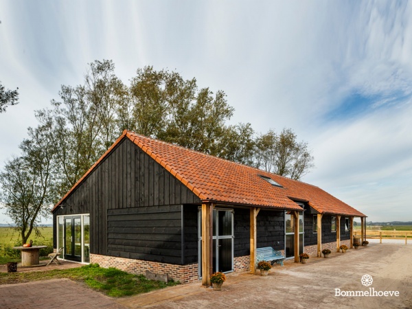 Nieuwbouw Paardenstal Bergen